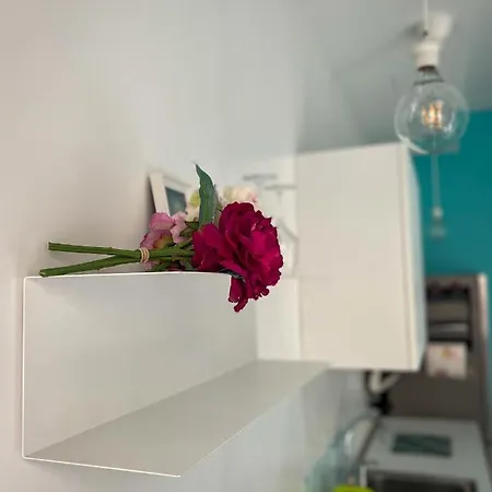 Niky Apartamento *